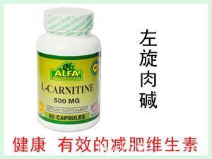 美國ALFA L-Carnitine左旋肉堿營養膠囊 60粒